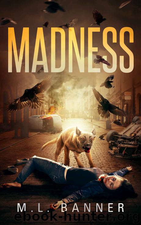 MADNESS by M. L. Banner