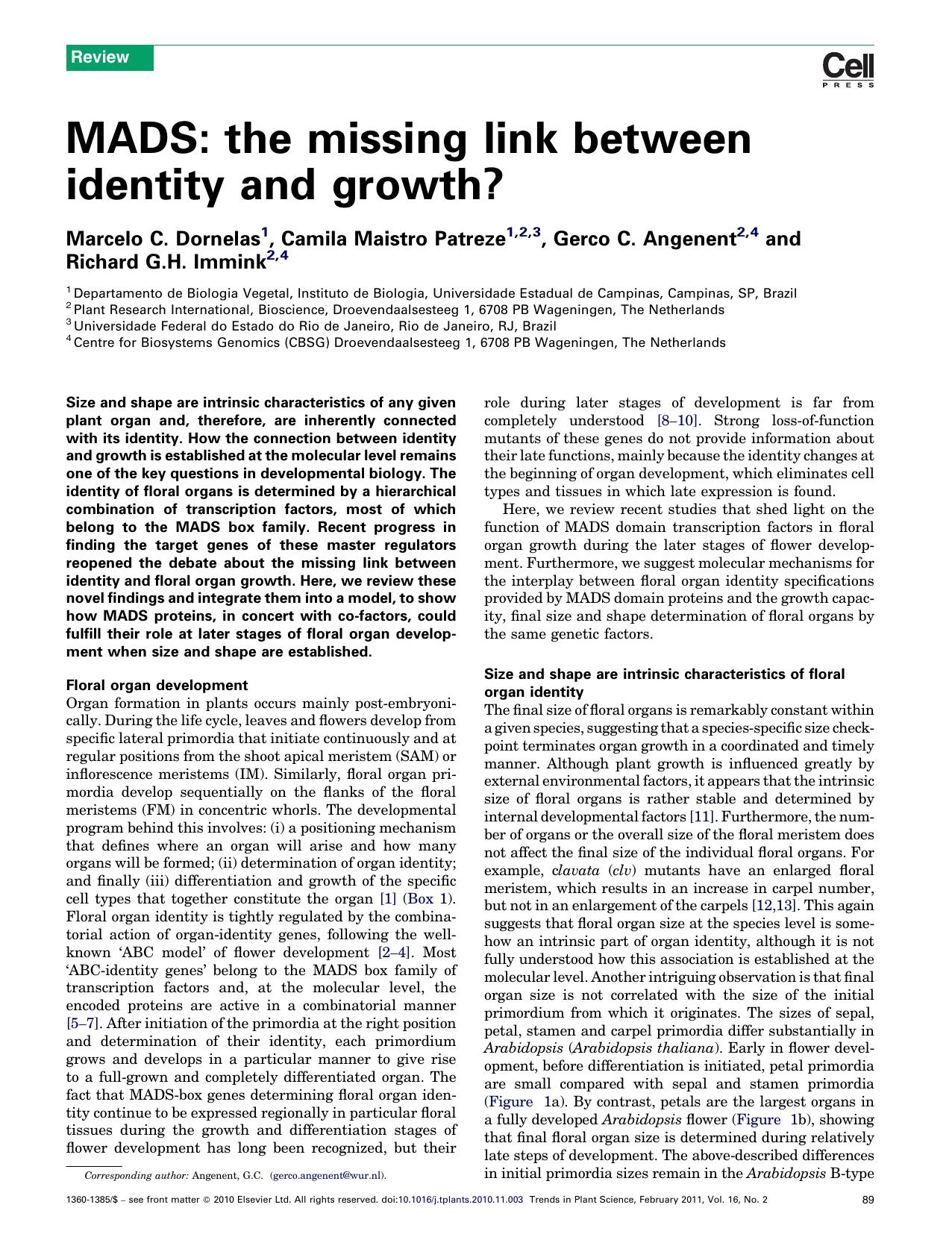 MADS: the missing link between identity and growth? by Marcelo C. Dornelas