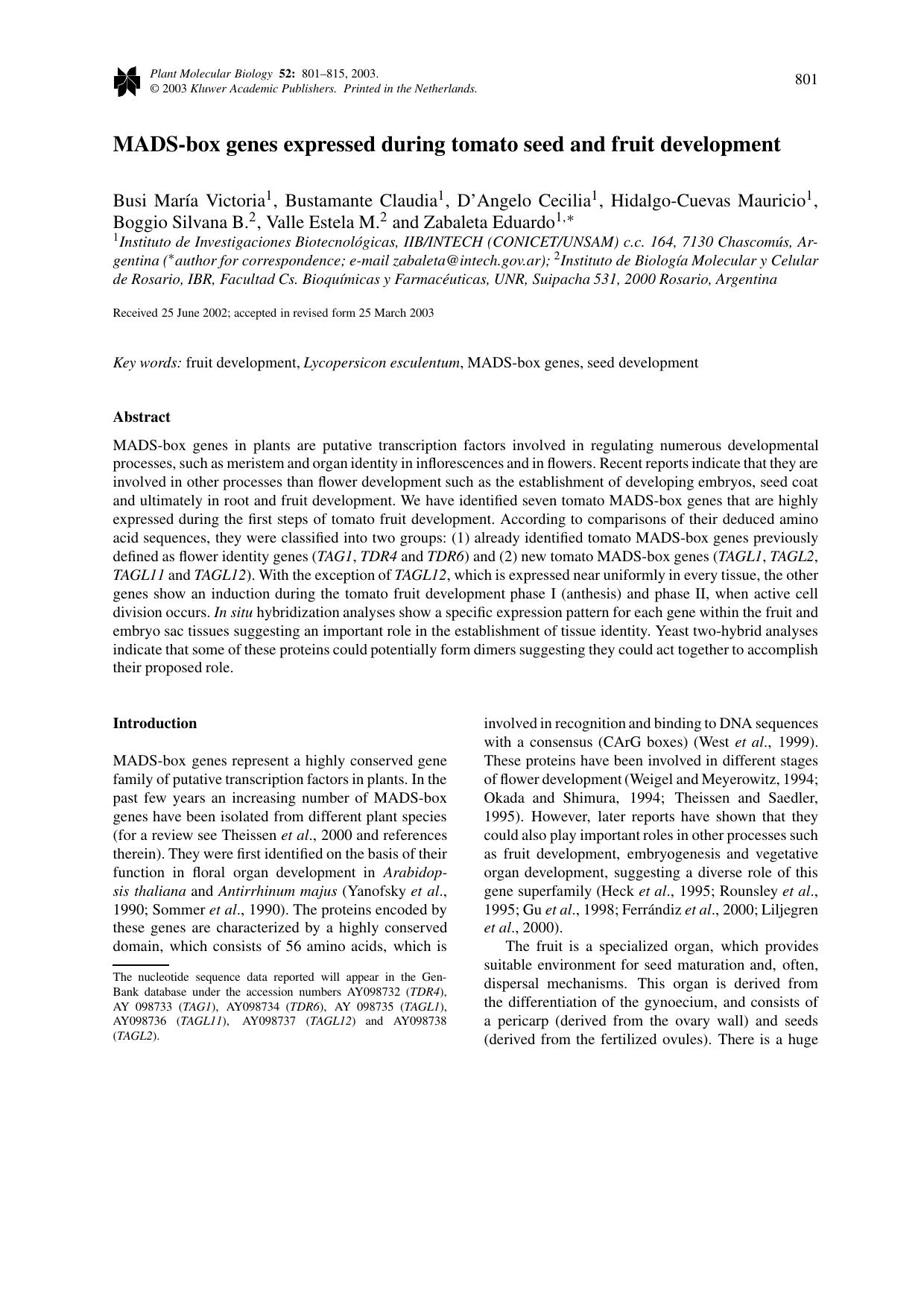 MADS-box genes expressed during tomato seed and fruit development by Unknown