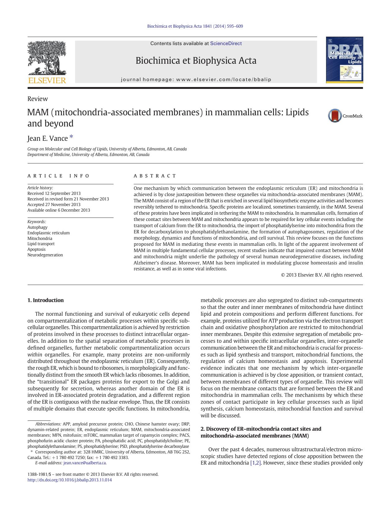 MAM (mitochondria-associated membranes) in mammalian cells: Lipids and beyond by Jean E. Vance