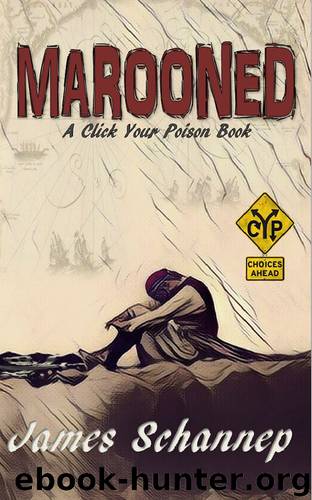 MAROONED: Will YOU Endure Treachery and Survival on the High Seas? (Click Your Poison) by James Schannep