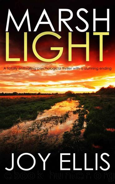 MARSHLIGHT a totally gripping psychological thriller with a stunning twist (Detective Matt Ballard Mystery Book 4) by Joy Ellis
