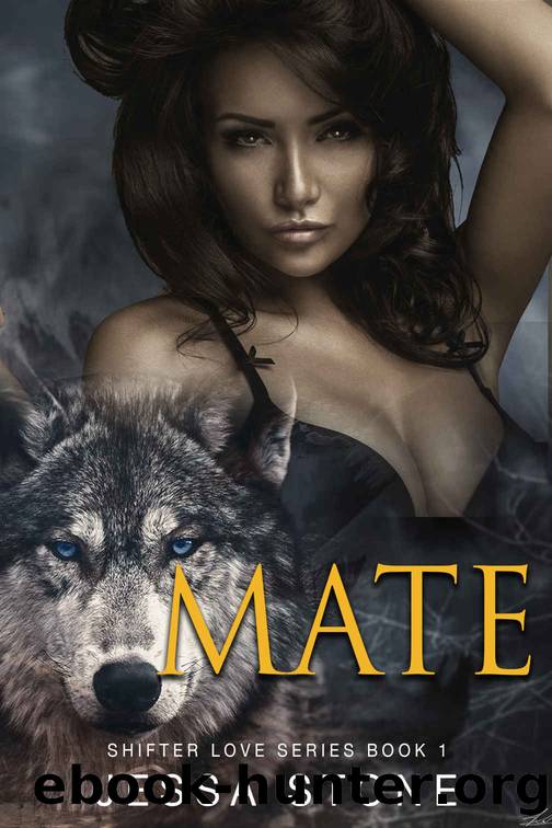 MATE: Shifter Love Book 1 by Stone Jessa