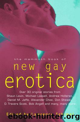 MBO New Gay Erotica by Lawrence Schimel