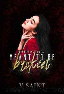 MEANT TO BE BROKEN by V Saint