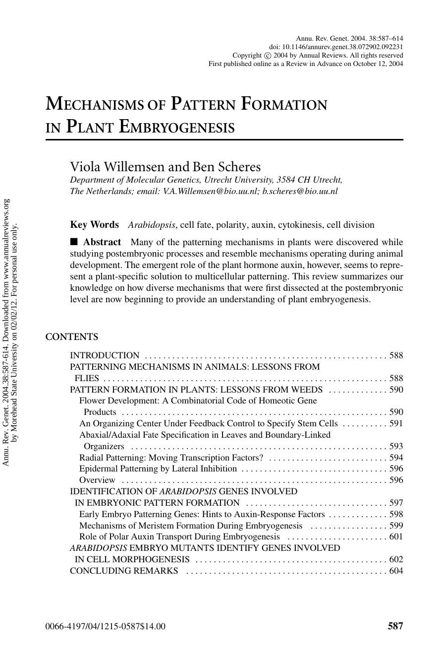 MECHANISMS OF PATTERN FORMATION IN PLANT EMBRYOGENESIS by Viola Willemsen & Ben Scheres