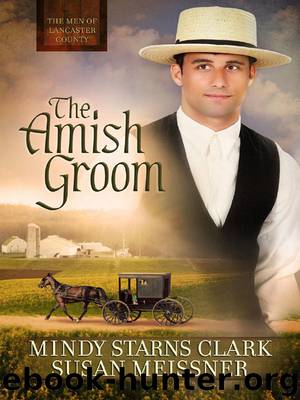 MEN OF LANCASTER COUNTY 01: The Amish Groom by Mindy Starns Clark & Susan Meissner