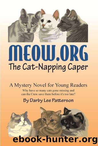 MEOW.ORG by Darby Patterson