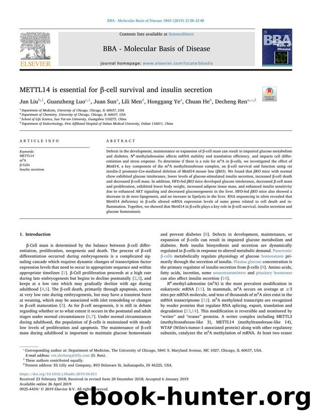 METTL14 is essential for Î²-cell survival and insulin secretion by Jun Liu & Guanzheng Luo & Juan Sun & Lili Men & Honggang Ye & Chuan He & Decheng Ren