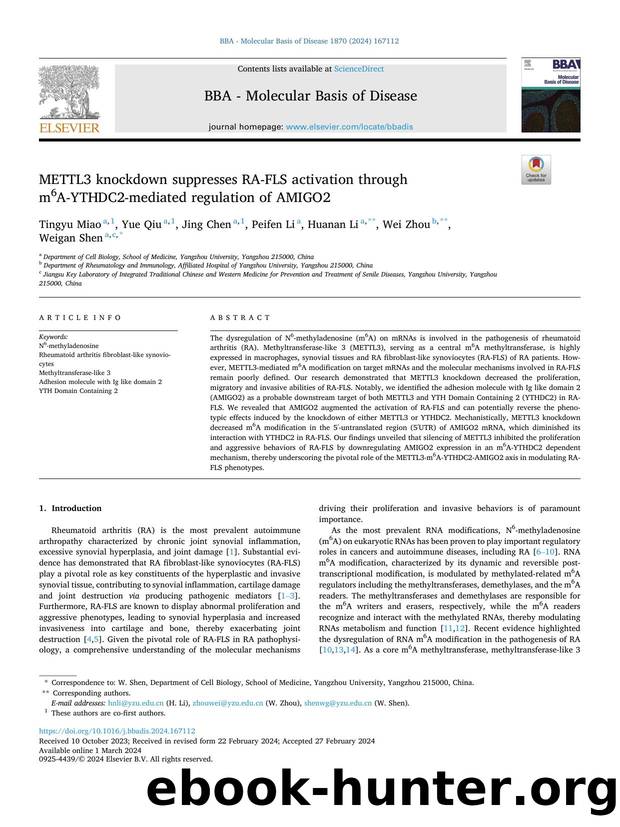 METTL3 knockdown suppresses RA-FLS activation through m6A-YTHDC2-mediated regulation of AMIGO2 by Tingyu Miao & Yue Qiu & Jing Chen & Peifen Li & Huanan Li & Wei Zhou & Weigan Shen