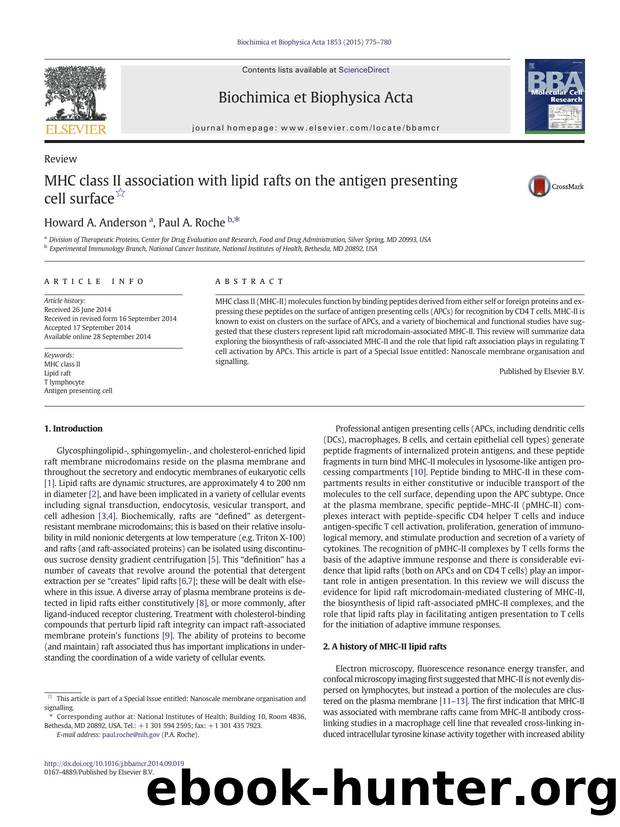 MHC class II association with lipid rafts on the antigen presenting cell surface by Howard A. Anderson & Paul A. Roche