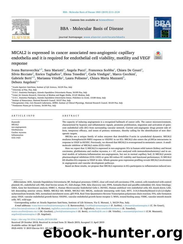 MICAL2 is expressed in cancer associated neo-angiogenic capillary endothelia and it is required for endothelial cell viability, motility and VEGF response by unknow