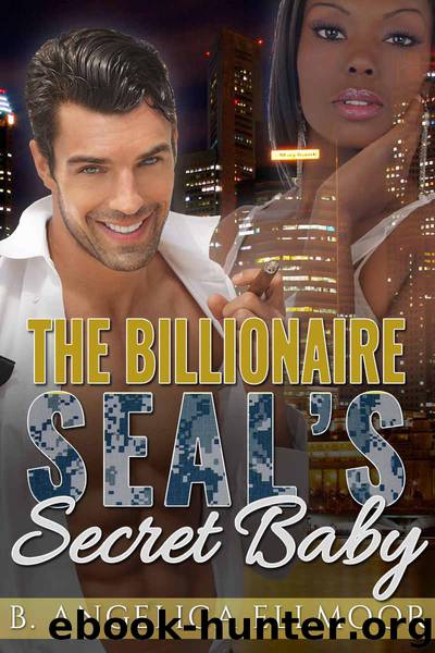 MILITARY ROMANCE: Bad Boy Romance: The Billionaire SEAL's Secret Baby (BWWM Navy SEAL Pregnancy Romance) (Interracial Contemporary Romance Short Stories) by B. Angelica Ellmoor