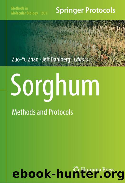 MMB vol.1931 Zhao Z.-Y., Dahlberg J. (eds.) Sorghum.. Methods and Protocols (Humana Press, 2019)(ISBN 9781493990382)(277s) by Unknown
