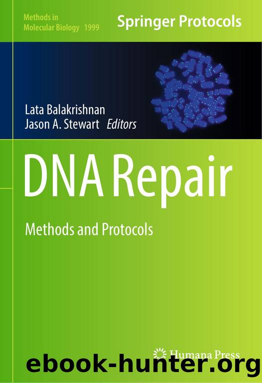 MMB vol.1999 Balakrishnan L., Stewart J.A. (eds.) DNA Repair.. Methods and Protocols (Humana Press, 2019)(ISBN 9781493994991)(347s) by Unknown