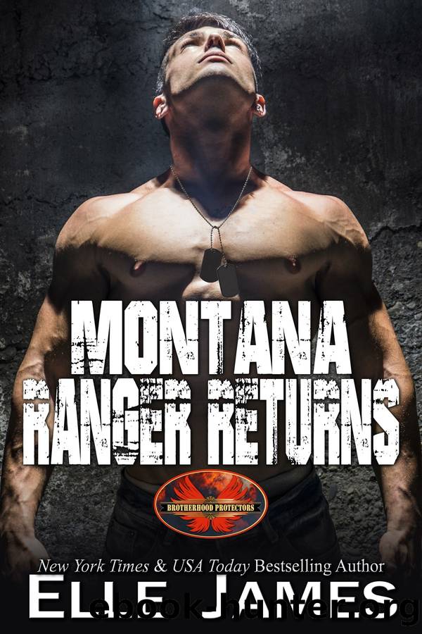 MONTANA RANGER RETURNS: BROTHERHOOD PROTECTORS Book #18 by Elle James