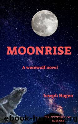 MOONRISE by Joseph Hagen