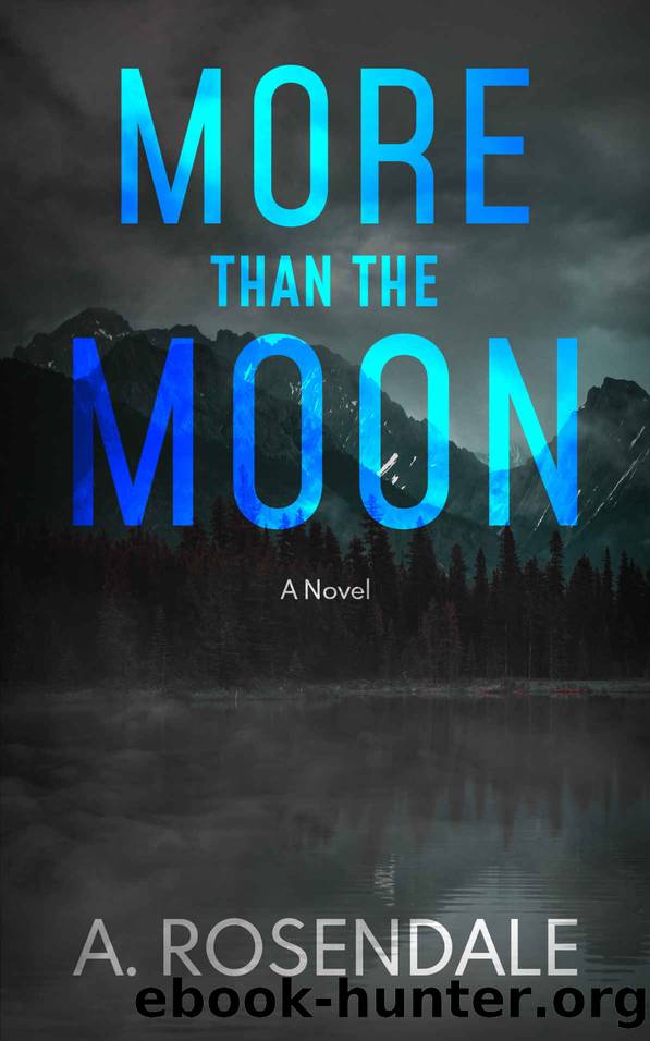 MORE THAN THE MOON by A Rosendale