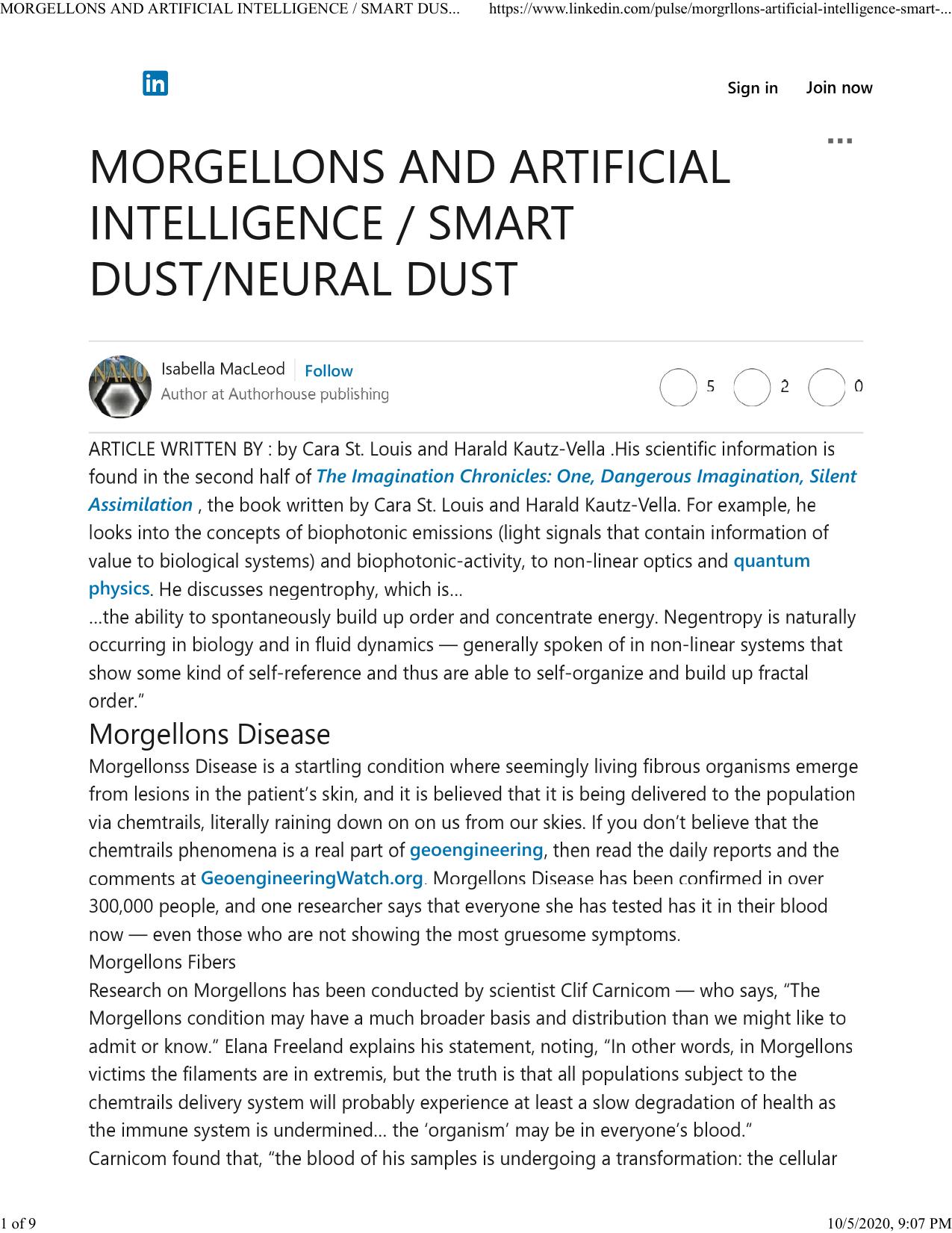 MORGELLONS AND ARTIFICIAL INTELLIGENCE / SMART DUST/NEURAL DUST by V. Susan Ferguson