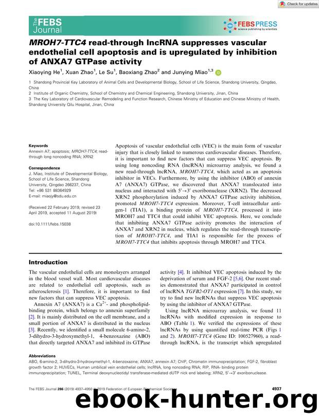 MROH7âTTC4 readâthrough lncRNA suppresses vascular endothelial cell apoptosis and is upregulated by inhibition of ANXA7 GTPase activity by Unknown