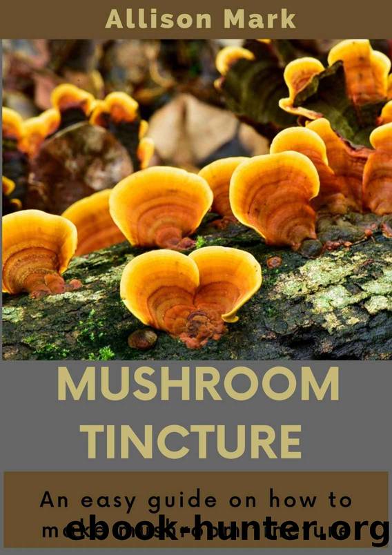 MUSHROOM TINCTURE: An easy guide on how to make mushroom tincture by Allison Mark
