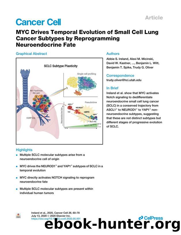 MYC Drives Temporal Evolution of Small Cell Lung Cancer Subtypes by Reprogramming Neuroendocrine Fate by unknow