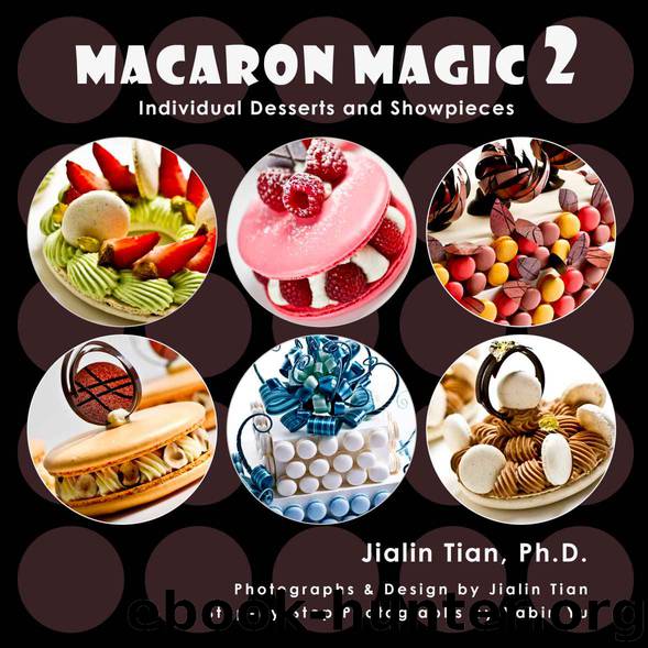 Macaron Magic 2: Individual Desserts and Showpieces by Jialin Tian