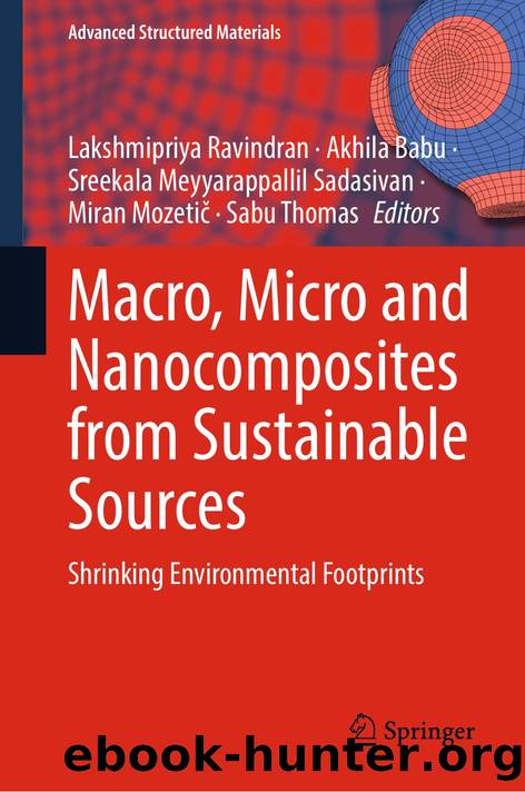 Macro, Micro and Nanocomposites from Sustainable Sources by unknow