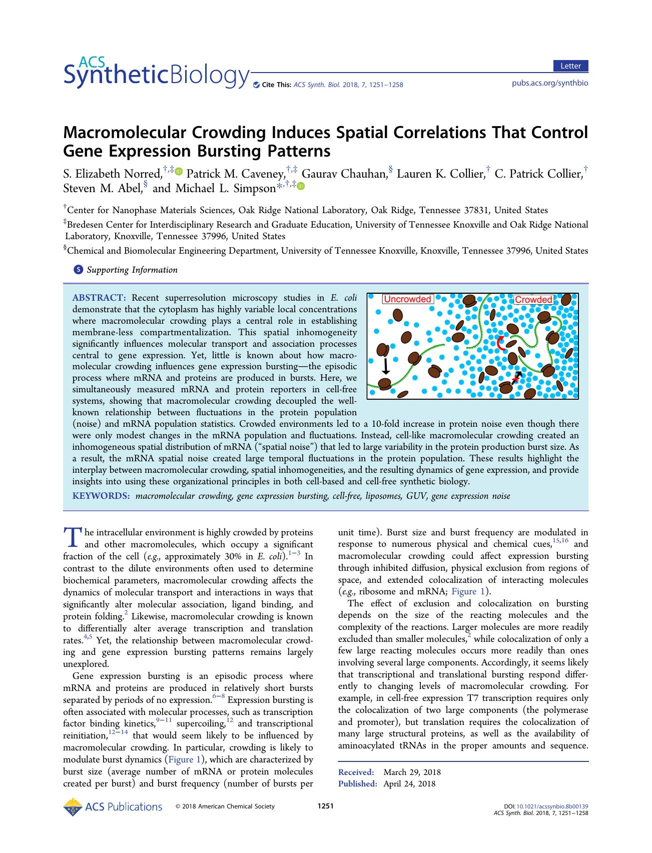 Macromolecular Crowding Induces Spatial Correlations That Control Gene Expression Bursting Patterns by unknow
