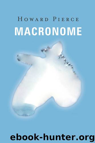 Macronome by Howard Pierce