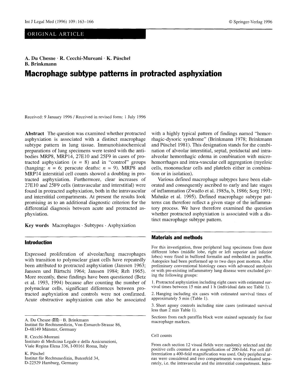 Macrophage subtype patterns in protracted asphyxiation by Unknown