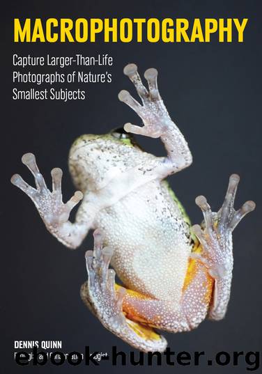 Macrophotography by Dennis Quinn