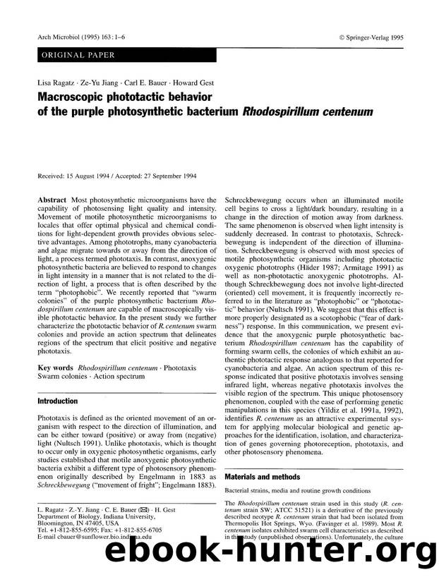 Macroscopic phototactic behavior of the purple photosynthetic bacterium <Emphasis Type="Italic">Rhodospirillum centenum<Emphasis> by Unknown