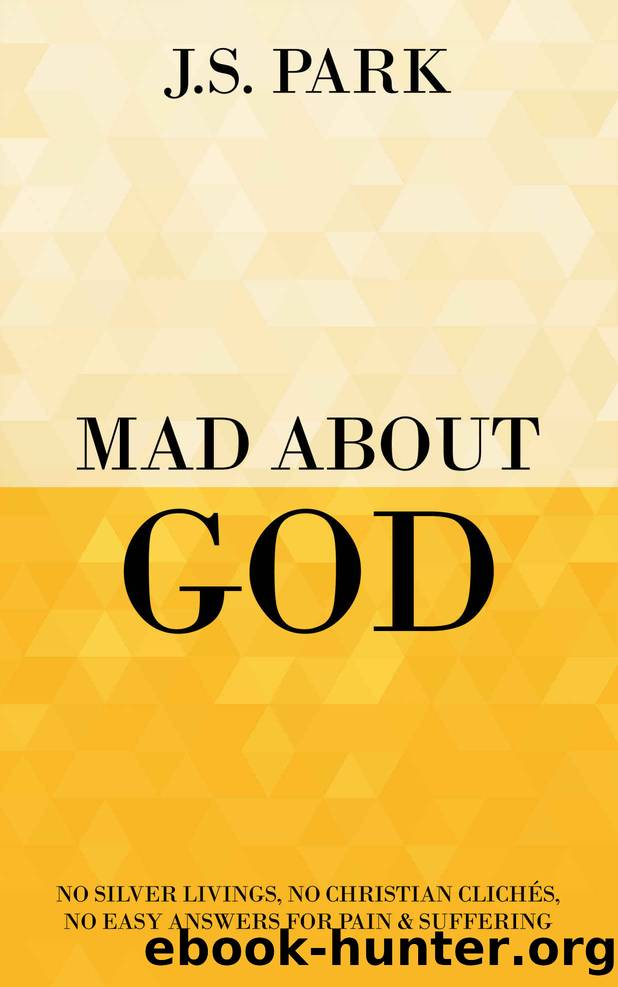 Mad About God by Park J.S