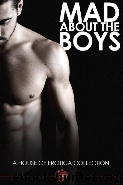 Mad About the Boys by Cutler E.C. & Hollis Queens & Vanessa de Sade & Sam Thorne & Dale Cameron Lowry