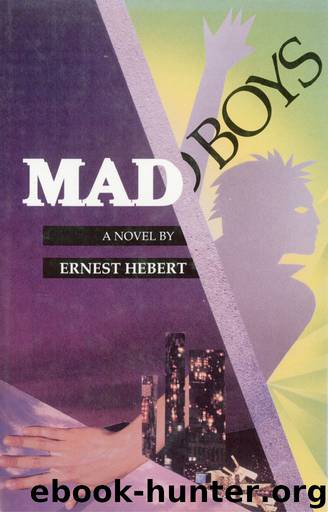 Mad Boys by Ernest Hebert