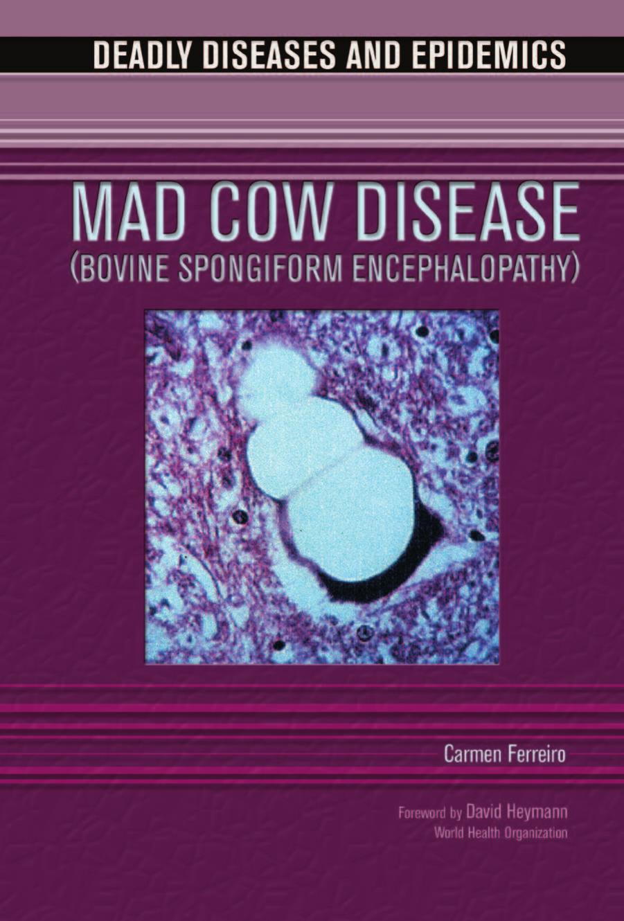 Mad Cow Disease by Carmen Ferreiro