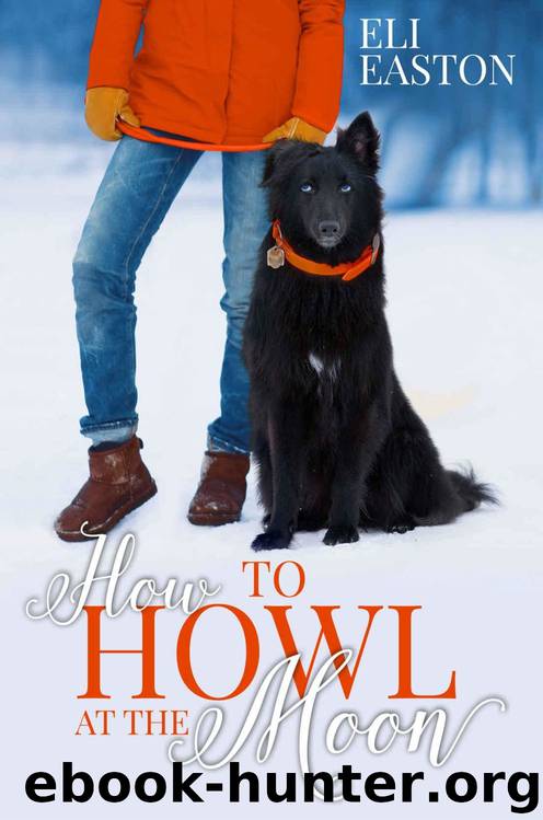 Mad Creek 01 - How to Howl at the Moon by Eli Easton