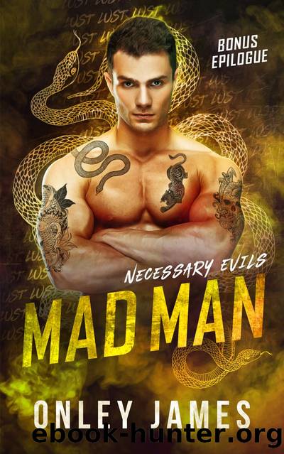 Mad Man: Bonus Epilogue by Onley James