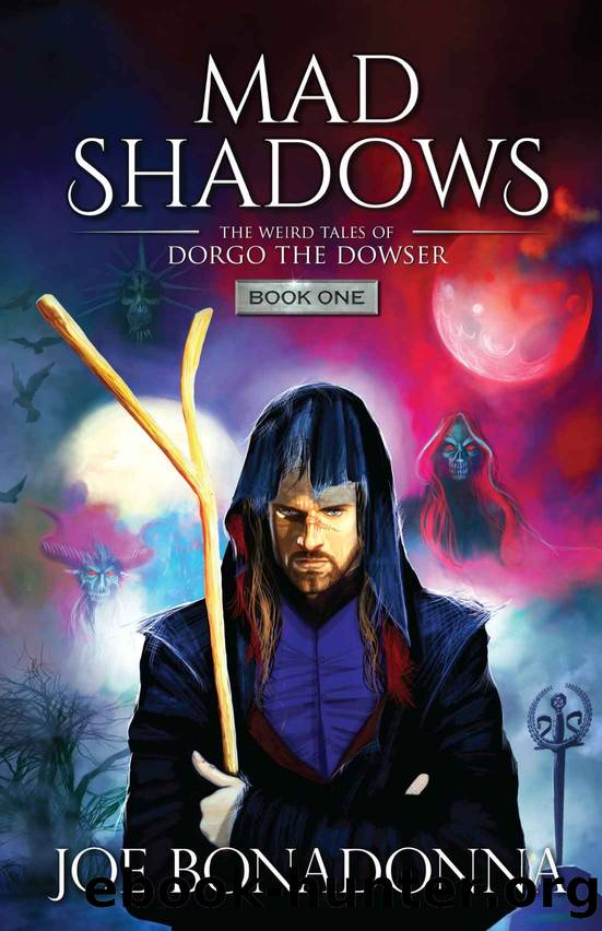 Mad Shadows by Joe Bonadonna