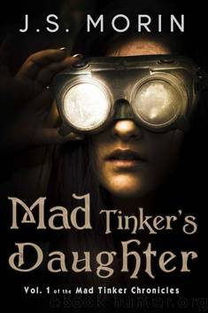 Mad Tinker's Daughter (Mad Tinker Chronicles) by J.S. Morin