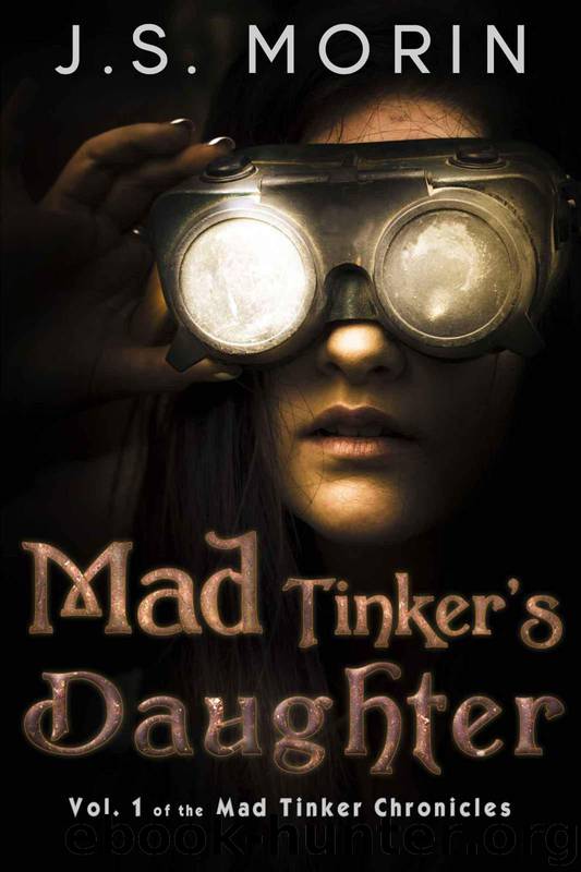 Mad Tinker's Daughter by Morin J. S
