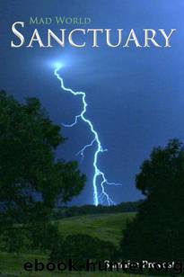 Mad World (Book 2): Sanctuary by Provost Samaire