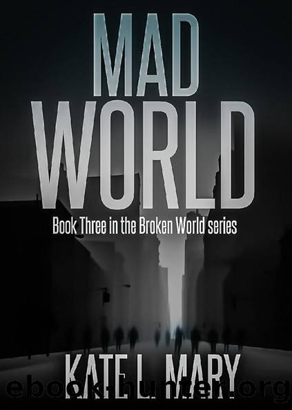 Mad World (Broken World Book 3) by Kate L. Mary