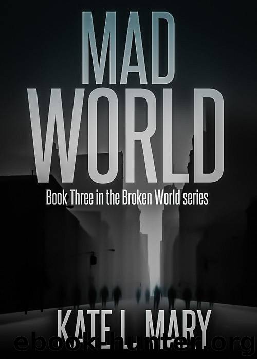 Mad World (Broken World Book 3) by Mary Kate L