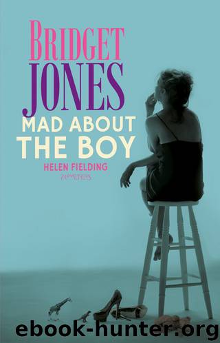 Mad about the boy by Fielding