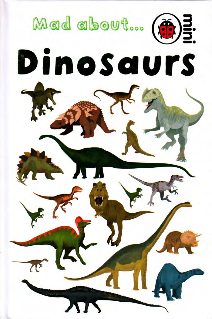 Mad about... Dinosaurs by Claire Hawcock