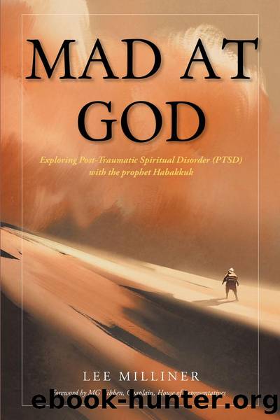 Mad at God by Lee Milliner