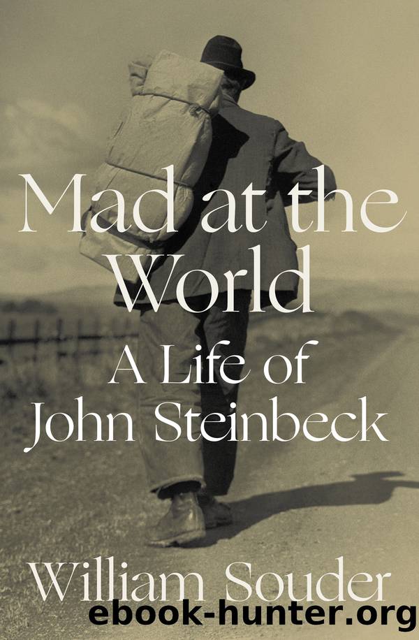 Mad at the World by William Souder