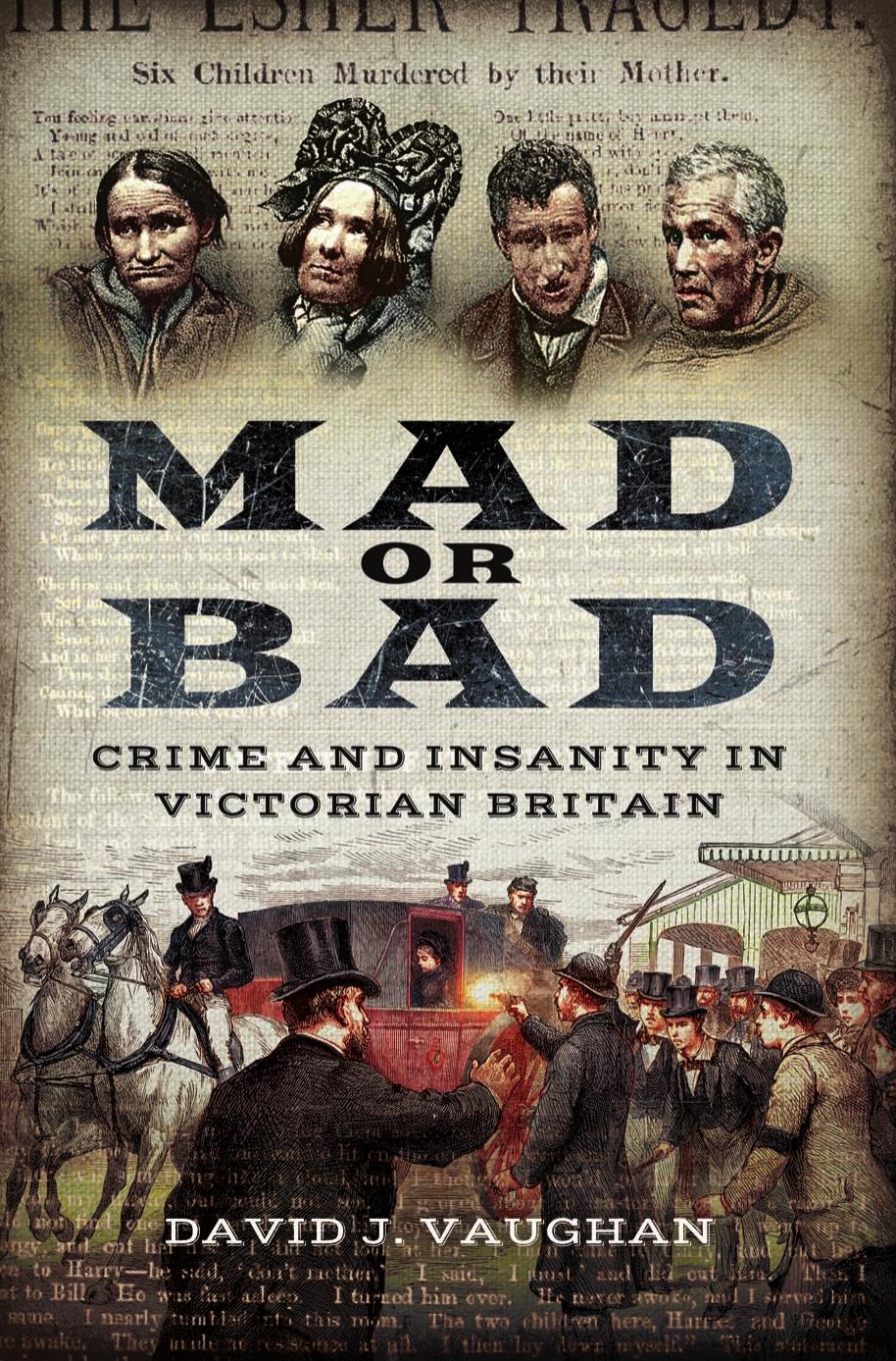 Mad or Bad : Crime and Insanity in Victorian Britain by David J. Vaughan